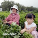 이재혁 농장 이미지