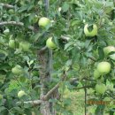 지동농장 이미지