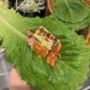 연곱삼 | 먹방기록♡/ 군산 수송동 맛집 연곱삼