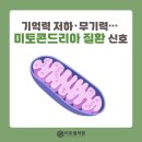 미토셀의원 이미지