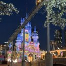 24게스트하우스(서울 잠실점) | 잠실 꽃집 라이티티아플로 꽃다발 서울 무인 24시 픽업