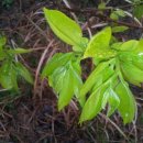 금일농장 이미지