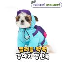 홀림펫