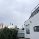 의귀하루 | 귤나무뷰가 매력적인 제주도 서귀포 감성숙소 의귀하루