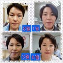 인셀덤샤인 네이버블로그