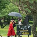 에프터눈 이미지