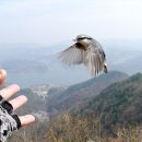 재롱이네 이미지