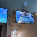 고래박물관 매표소 화장실 | 울산 고래생태체험관 고래 관람 시간 및 이벤트