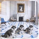 행운켄넬 | 안양시 폼스키분양 신중한 결정으로 완벽한 가족 찾기