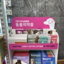유약국 이미지