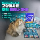 냠냠펫푸드 | 고양이사료 추천 눈에 띄는 건강한 변화를 위한 펫푸드 퓨리나 ONE