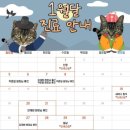 로뎀나무 동물의료센터 네이버블로그
