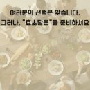 양효당 이미지