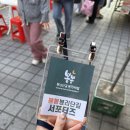 관악종합시장 | 서울시장투어 추천 봉천시장 가볼만한 곳 아트인봉리단 겨울빛 온기 나눔 행사 후기