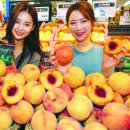 산지뚝심 이미지