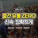 나무유통 | 벌목전문가가 벌목,벌채 나무제거의 생생한 현장후기!