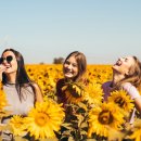 서로손병원 이미지