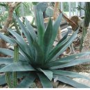 하프타임(강구점) | 영어학원 안부 할리데이반짝 이벤트