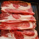 포동이 펫살롱 이미지