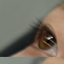 계룡로500번길 이미지