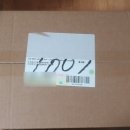 놀러와캣독 | [고양이용품 후기] 고양이 도자기 밥그릇 내돈내산 구매후기