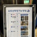 [한화 리조트 거제 벨버디어] 요트 선셋투어 내돈내산 솔직후기 / 국내 신혼여행 코스 추천