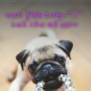 유림온누리약국 이미지