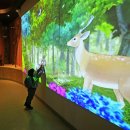 마복산목재문화체험장 이미지