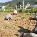 연실경로당 이미지