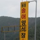 송어의집 이미지