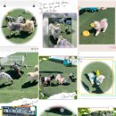 더 예쁘개 이미지