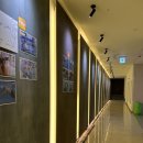 (주)슈퍼스타시그니쳐 | 슈퍼스타시그니처성인수영장 장단점, 강습후기