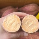 고정농장 이미지