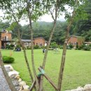 황토와 통나무 캠핑장 이미지