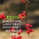 대곡산 Daum카페