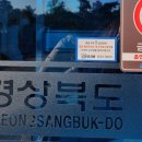 에코클린방역