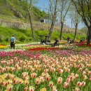 용비쉼터 이미지