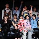 옥탑방고양이 이미지