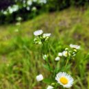 남강경로당 이미지