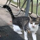 정빈농장 이미지