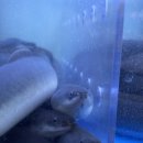 오금로27길 이미지