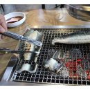 장어야놀자 이미지