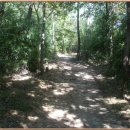 정하건강 이미지