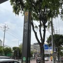 연세이충호산부인과의원 이미지