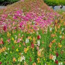 태산목장 이미지