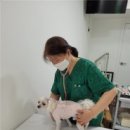 고려종합동물병원 이미지
