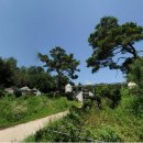 여주-1102 이미지