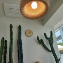 원조삼계탕집 이미지