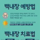 광명김안과