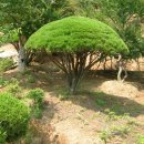 축동농장 이미지